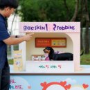 멍멍 이미지