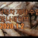 꽃나래허브
