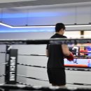 펀치라인복싱 | 수유다이어트복싱 최고의 체력 증진 장소, 펀치라인복싱 후기