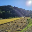 통골농장 이미지