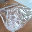 모아세탁소 이미지