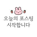 카라반 르 몽드 이미지