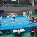 경주권투체육관 이미지