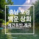 [충남 보령] 애견동반 가능한 계곡 평상 &#39;백운상회 쉼터 민박&#39;
