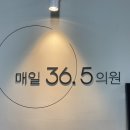 매일36.5의원