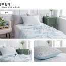 옥플라워 Daum카페