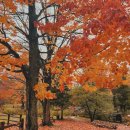 덕산면053 이미지