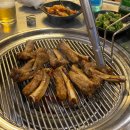 원시쪽갈비 이미지