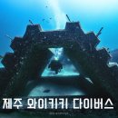와이키키다이버스 | 제주 서귀포 스쿠버 다이빙 와이키키 다이버스 내돈내산