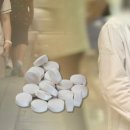 '세관 마약' 지휘부는 영전, 수사팀은 좌천…엇갈린 행보 이미지