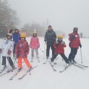 논현태권도도장 이미지