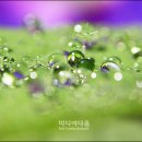 빛 살 -울림 이미지