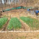 대현농장 이미지