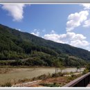 백일홍 민박집 이미지