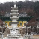 만기사