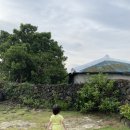 연지네민박 | [제주-열두번째날] 23개월 아기와 우도봉 그리고 다시 제주로!