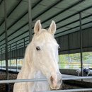 시우목장 이미지