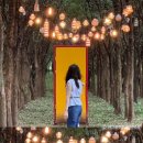 저스트슬립호텔 당진서해대교점 이미지