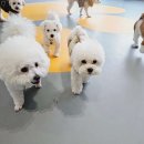 옐레드 부천상동점 이미지