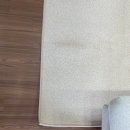 데이럽