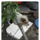 은영상회 이미지