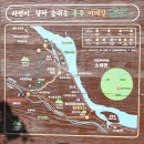 충주 비내길~여주 강천섬 가을 소풍 24.10.09 이미지