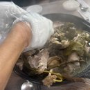 광주 북구 보양식 맛집 ✨ 유진농원 오리백숙 후기 🥘[내돈내산]