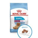 로얄퍼피 이미지