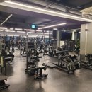 불독휘트니스 이미지