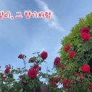 💕💕사랑가득한 🌻부산방(5비/5전대)🍀4월 24(토)~25(일)🍀첫 출부 인사드립니다.✈️✈️ 이미지