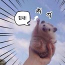 서울시립대학교 대학원 이미지