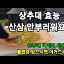 궁채 재배 효능 상추대 생궁채나물 제대로 알아보기 이미지