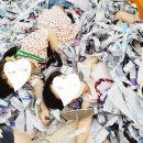 키움아트미술학원 이미지