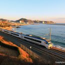 H1634 이미지