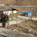 운산리축사 네이버블로그