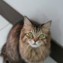 봄빛동물병원 이미지