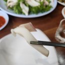 둥지포차 | 충무로 야장 포장마차! 둥지포차 내돈내산 후기 (반야장, 노상 맛집, 실내 포차, 가성비 맛집, 동그랑땡)