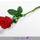 신화메디칼 이미지