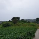 미암2리 이미지