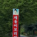 재동이칼국수보리밥 | 재동이 칼국수, 보리밥집 먹방 후기