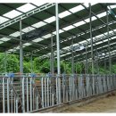 대산가축 이미지