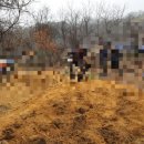 신용수목장 이미지