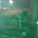 신흥동008 이미지