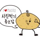 카페바라기 이미지