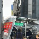 명동야채