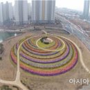 두물머리공원 이미지