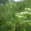 현제농장 이미지