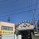 메밀꽃체육관 | 260320~260321 경주 여행 후기