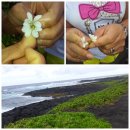 808 민박 이미지