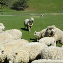 지열농장 이미지